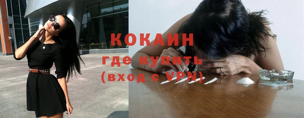 гашик Бородино