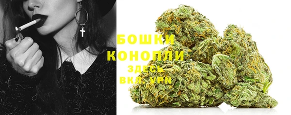 МДПВ Бронницы