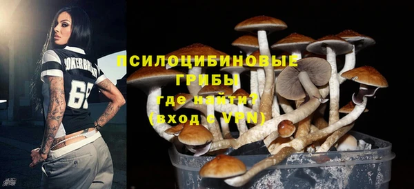 гашик Бородино