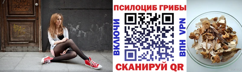 МЕГА ссылка  Видное  Галлюциногенные грибы Cubensis 