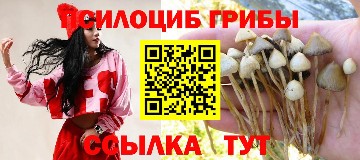 Амфетамин кристаллы  ГАШ  ГАШ  МЕФ кристаллы  Видное  Вход с VPN  Наркошоп  Cocaine  МАРИХУАНА  Codein 