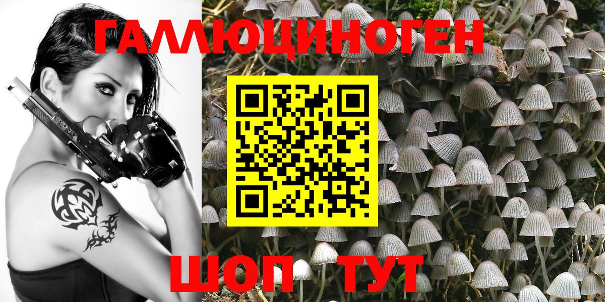 Галлюциногенные грибы Magic Shrooms  Псилоцибиновые грибы Psilocybe  Видное  Вход с VPN 