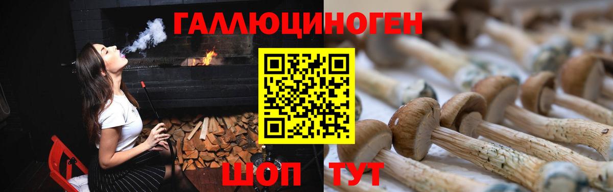 Псилоцибиновые грибы GOLDEN TEACHER Видное
